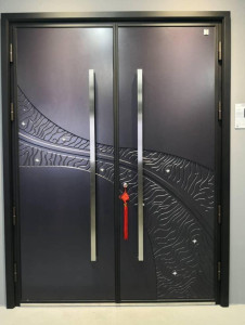 Modern Double Security Entry Door