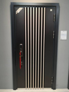 This is modern Steel Security Door with vertical aluminum or stainless steel accents