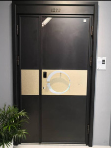 Modern Security Door likely made of cast alumnum or steel with a gold and black finish