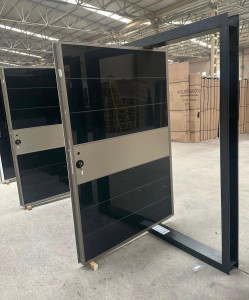 Pivot or stainless steel model Door