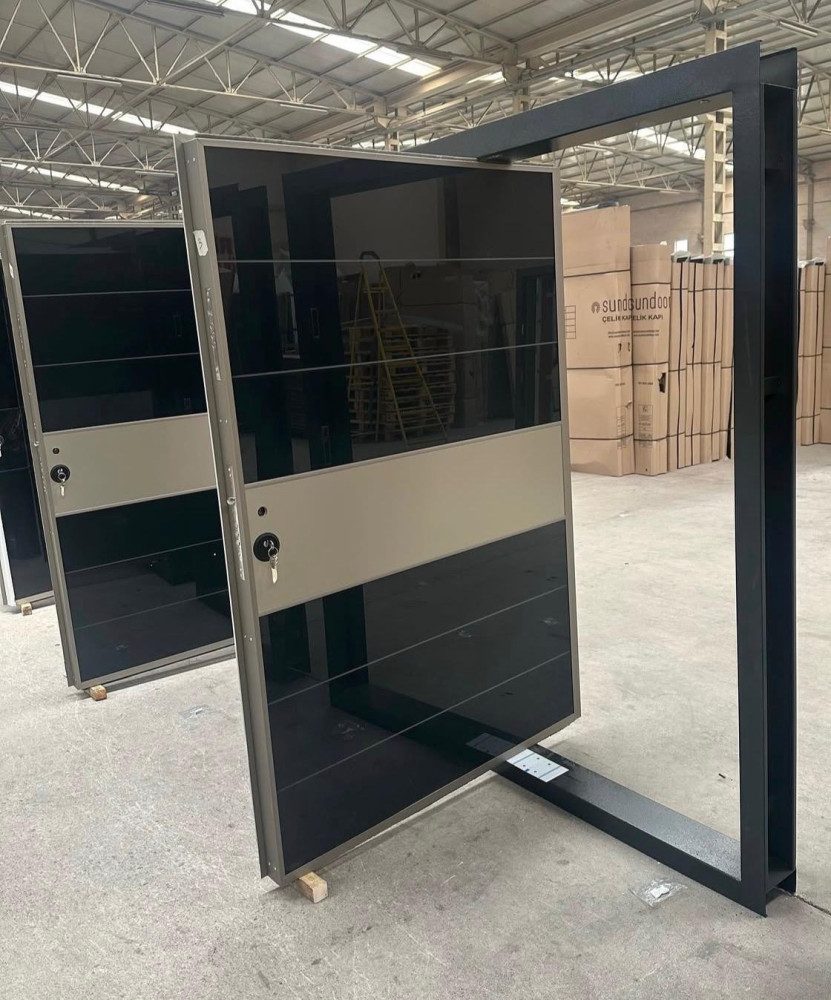 Pivot or stainless steel model Door