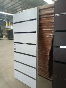 White and black Israeli Milanista Security Door