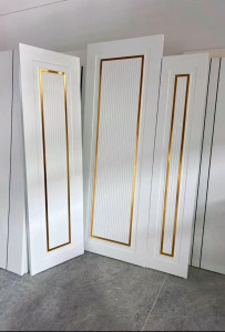 Modern Security Door
