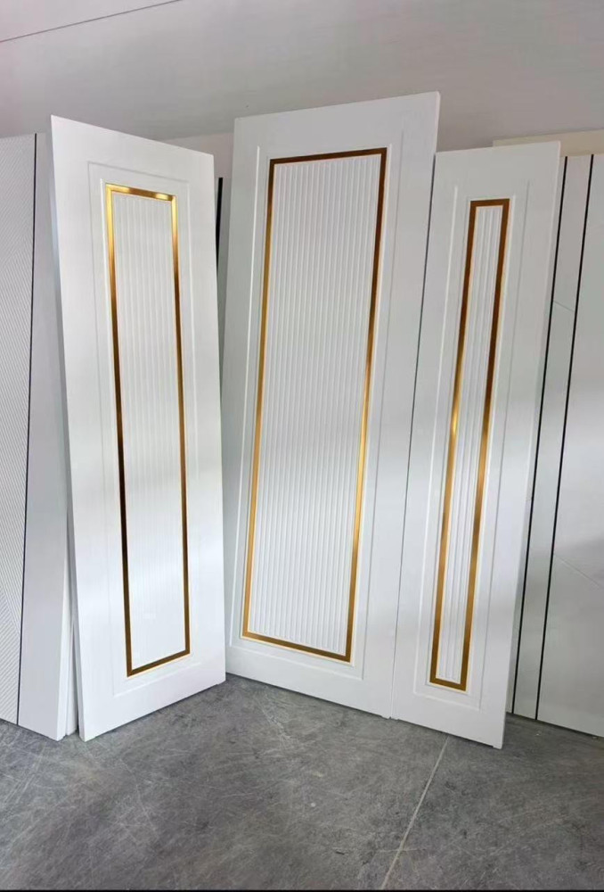 Modern Security Door