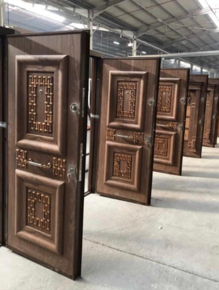 Modern residential Security Door 