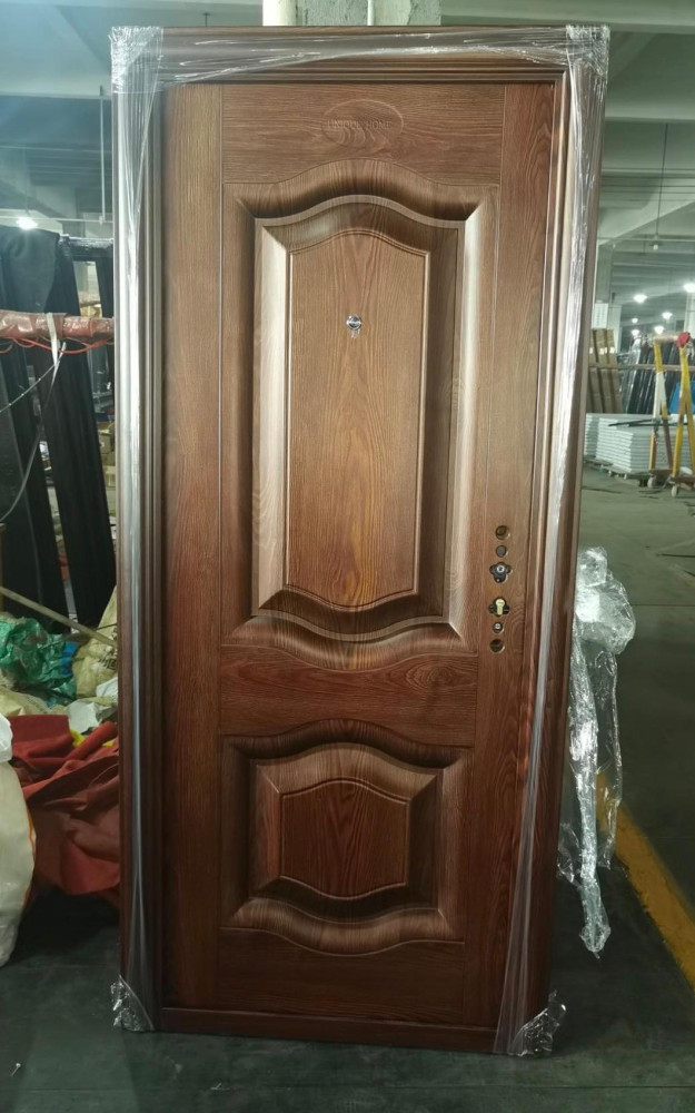 Modern pivot smar t Door 