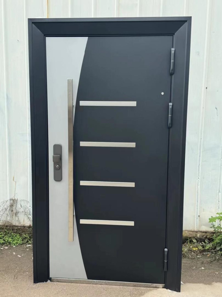 Modern Security Entrnace stainless steel handle and decorative accents door