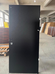 Modern metal entrance Security Door
