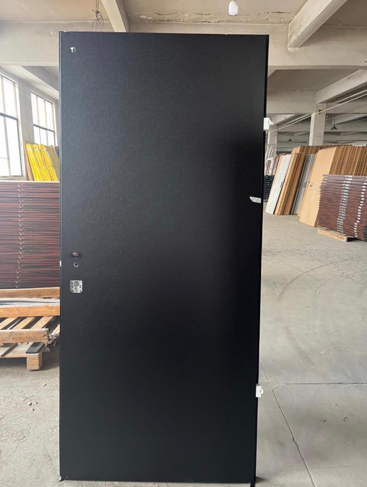 Modern metal entrance Security Door