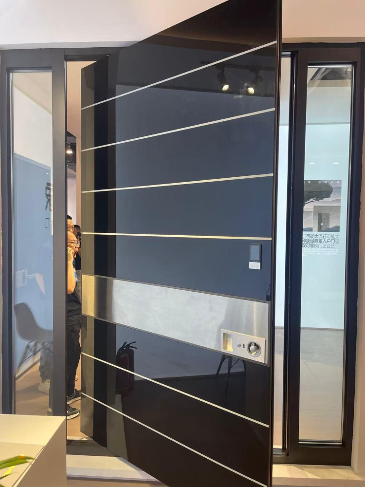modern aluminum Pivot Entrance door