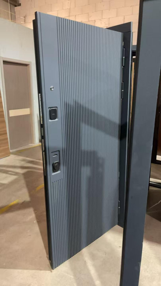 Modern Black Shagreen Steel Entrance door