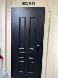 French-series premium entrance security door designed with a modern aesthtic