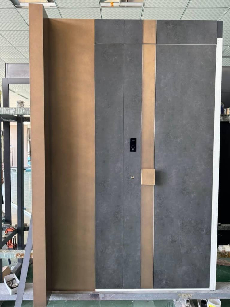 Modern Security Steel Door designed with a contemporary aesthtic and smart lock features